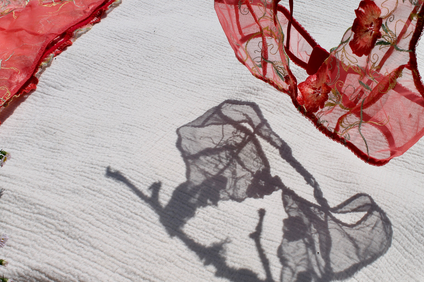 Red embroidered lace tulle bralette