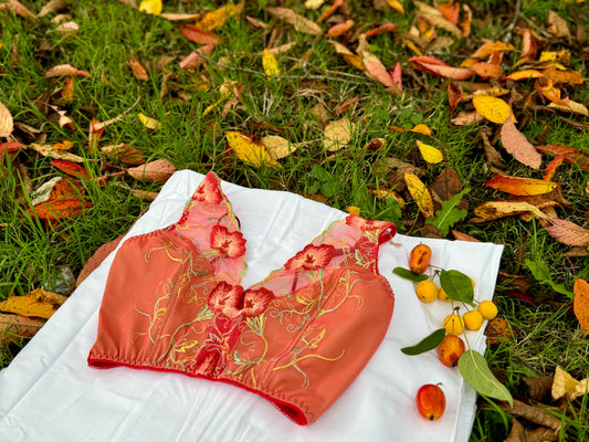 Red embroidered Bra Top